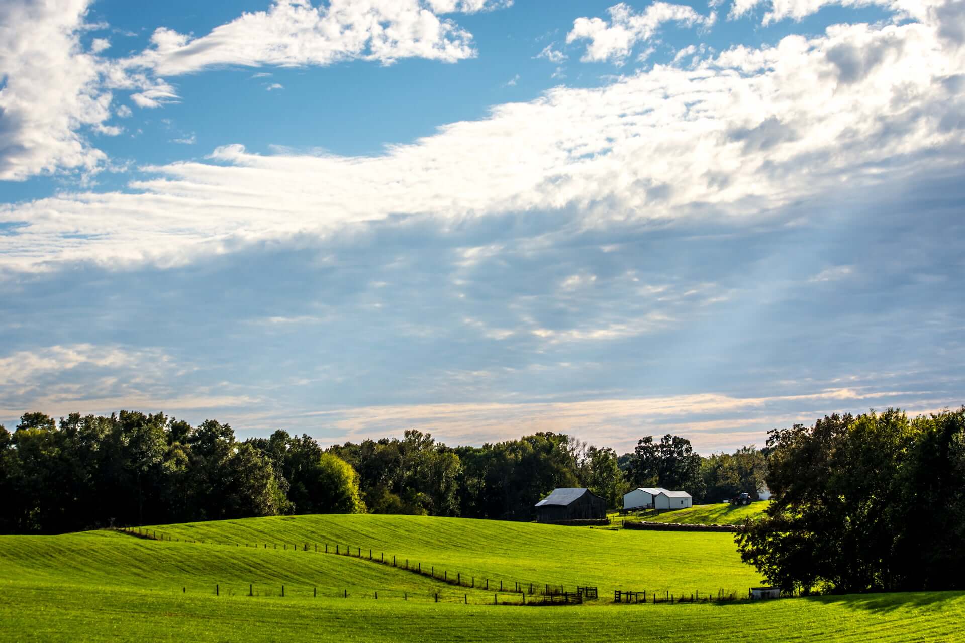 Rolling Green Hills In The Countryside With Sunlig 2024